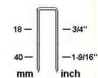 nail.jpg