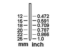 nail.jpg
